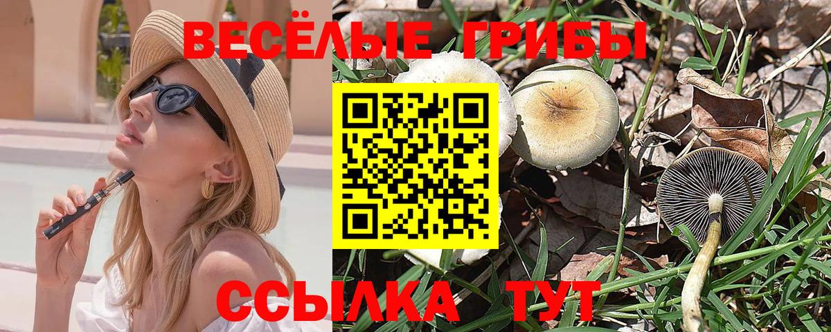 Галлюциногенные грибы Psilocybe Прокопьевск